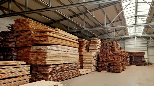 forest_modryniec_mircze_tartak_lubelskie_deski_kantowki_laty_kontrlaty_deski_plotowe_deski_tarasowe_klody-surowiec-sklejarski-tarcica-stolarska-fryzy-sklep-online-z-drewnem
