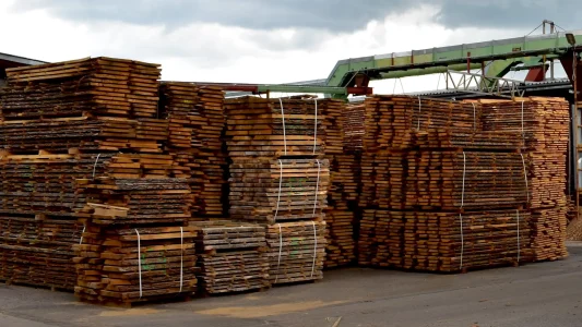 forest_tartak_lubelskie_deski_kantowki_laty_kontrlaty_deski_plotowe_deski_tarasowe_klody_surowiec_sklejarski_tarcica_stolarska_fryzy_sklep_online_z_drewnem_marek_wiatrzyk_mircze_modryniec